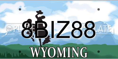 8BIZ88 Wyoming License Plate