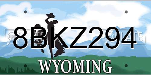 8BKZ294 Wyoming License Plate