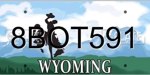 8BOT591 Wyoming License Plate