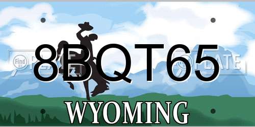 8BQT65 Wyoming License Plate