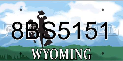 8BS5151 Wyoming License Plate