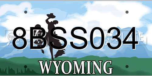 8BSS034 Wyoming License Plate