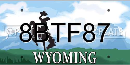 8BTF87 Wyoming License Plate