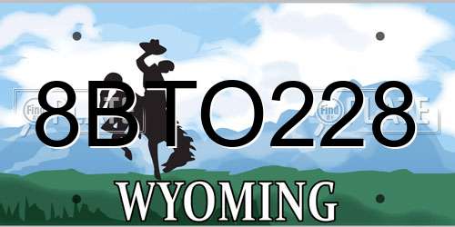8BTO228 Wyoming License Plate