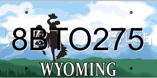 8BTO275 Wyoming License Plate