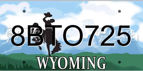 8BTO725 Wyoming License Plate