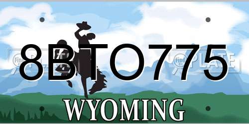 8BTO775 Wyoming License Plate
