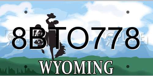 8BTO778 Wyoming License Plate