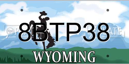 8BTP38 Wyoming License Plate