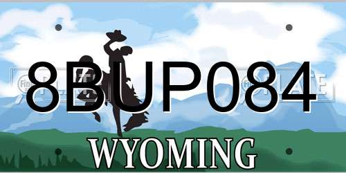 8BUP084 Wyoming License Plate