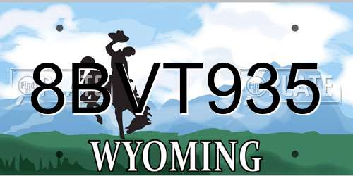 8BVT935 Wyoming License Plate