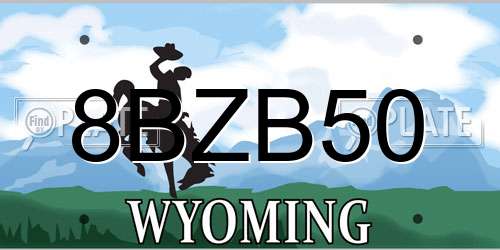 8BZB50 Wyoming License Plate
