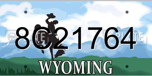 8C21764 Wyoming License Plate