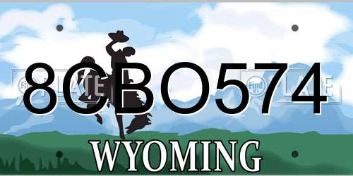 8CBO574 Wyoming License Plate