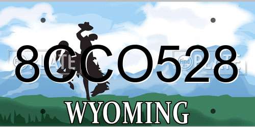 8CCO528 Wyoming License Plate