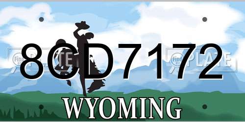 8CD7172 Wyoming License Plate