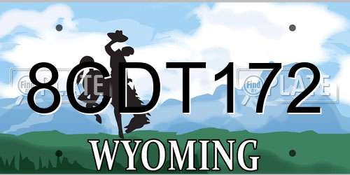 8CDT172 Wyoming License Plate