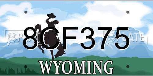 8CF375 Wyoming License Plate