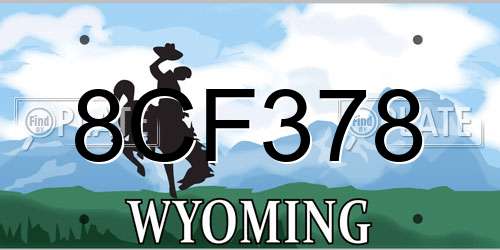 8CF378 Wyoming License Plate