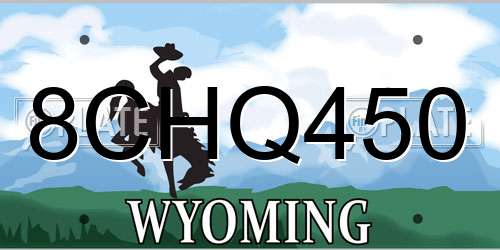 8CHQ450 Wyoming License Plate