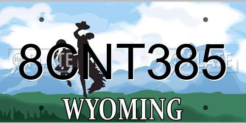 8CNT385 Wyoming License Plate