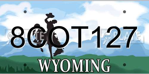 8COT127 Wyoming License Plate