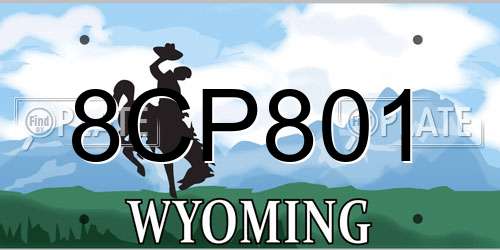 8CP801 Wyoming License Plate
