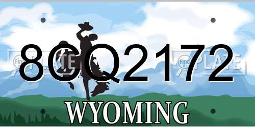8CQ2172 Wyoming License Plate