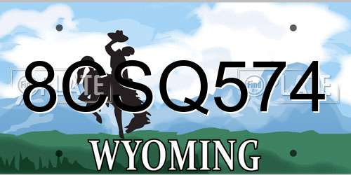 8CSQ574 Wyoming License Plate
