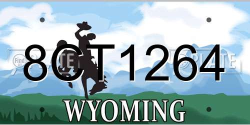 8CT1264 Wyoming License Plate