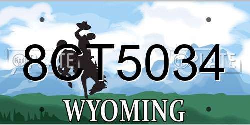 8CT5034 Wyoming License Plate