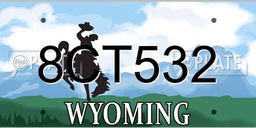 8CT532 Wyoming License Plate