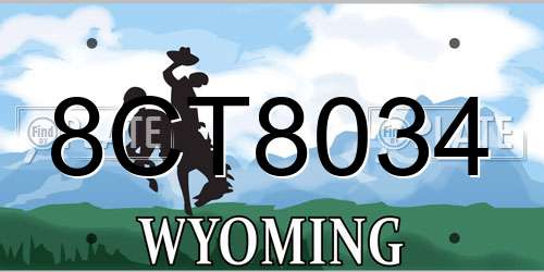 8CT8034 Wyoming License Plate