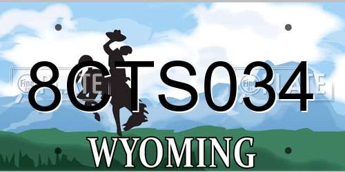 8CTS034 Wyoming License Plate