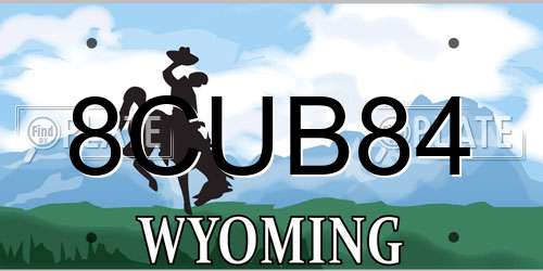 8CUB84 Wyoming License Plate