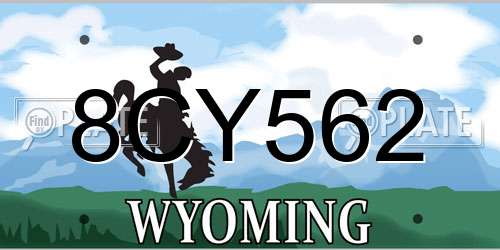 8CY562 Wyoming License Plate