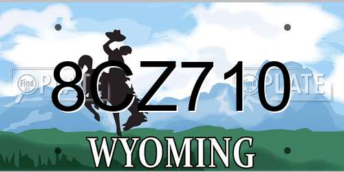 8CZ710 Wyoming License Plate