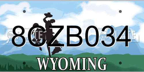 8CZB034 Wyoming License Plate