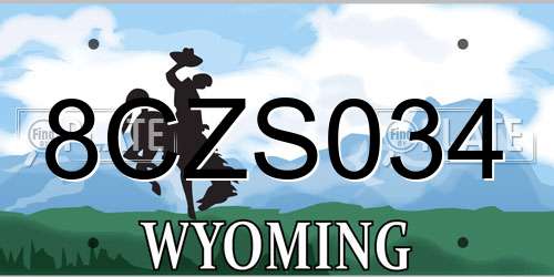 8CZS034 Wyoming License Plate