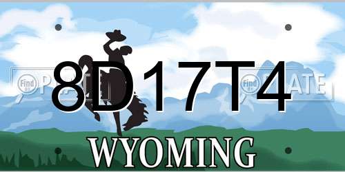 8D17T4 Wyoming License Plate