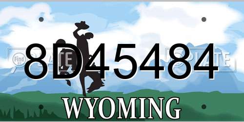 8D45484 Wyoming License Plate