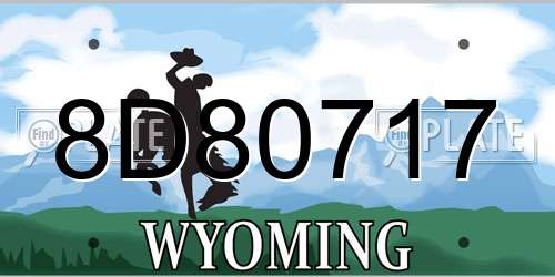 8D80717 Wyoming License Plate