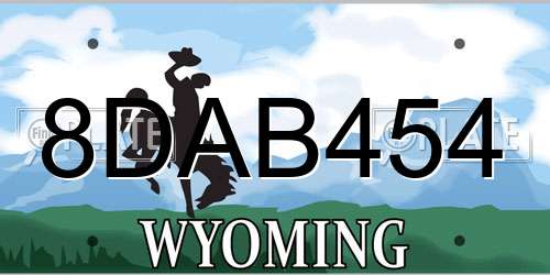 8DAB454 Wyoming License Plate