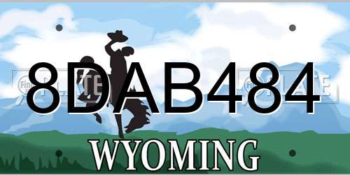 8DAB484 Wyoming License Plate