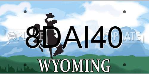 8DAI40 Wyoming License Plate