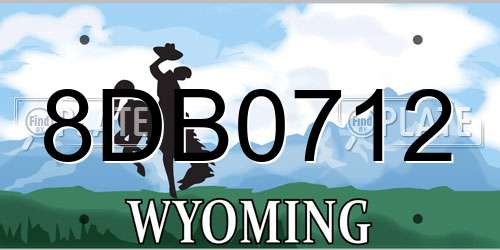 8DB0712 Wyoming License Plate