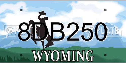 8DB250 Wyoming License Plate