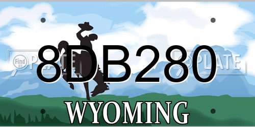 8DB280 Wyoming License Plate