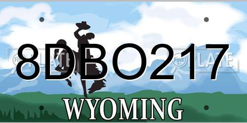 8DBO217 Wyoming License Plate