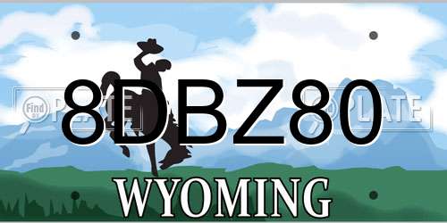 8DBZ80 Wyoming License Plate